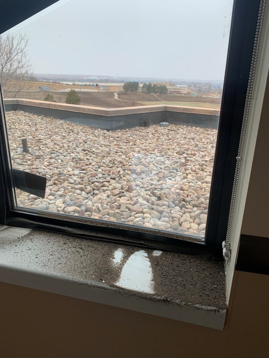 Med surg windows