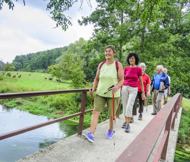 Older adults on a hike